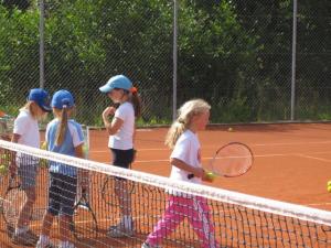 IMG 0255